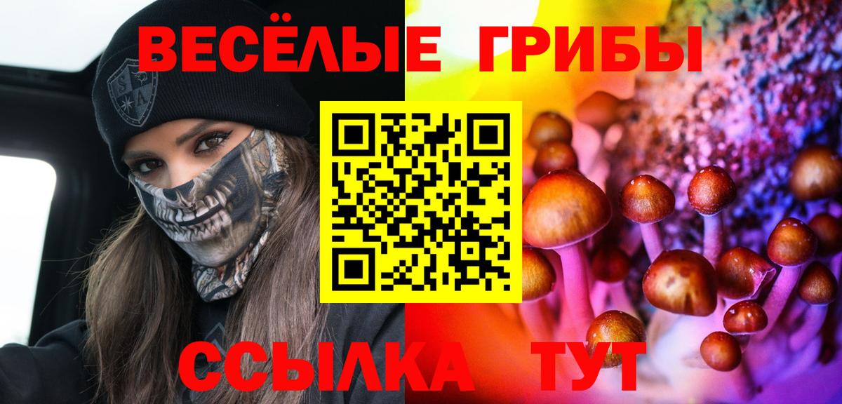 Кубинка  Галлюциногенные грибы GOLDEN TEACHER  Вход с VPN 